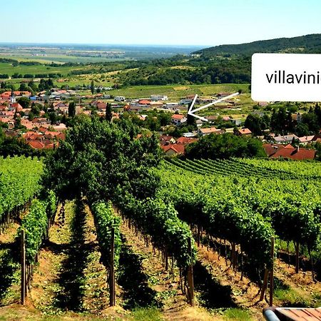 Villa Vinica Limbach Exterior photo