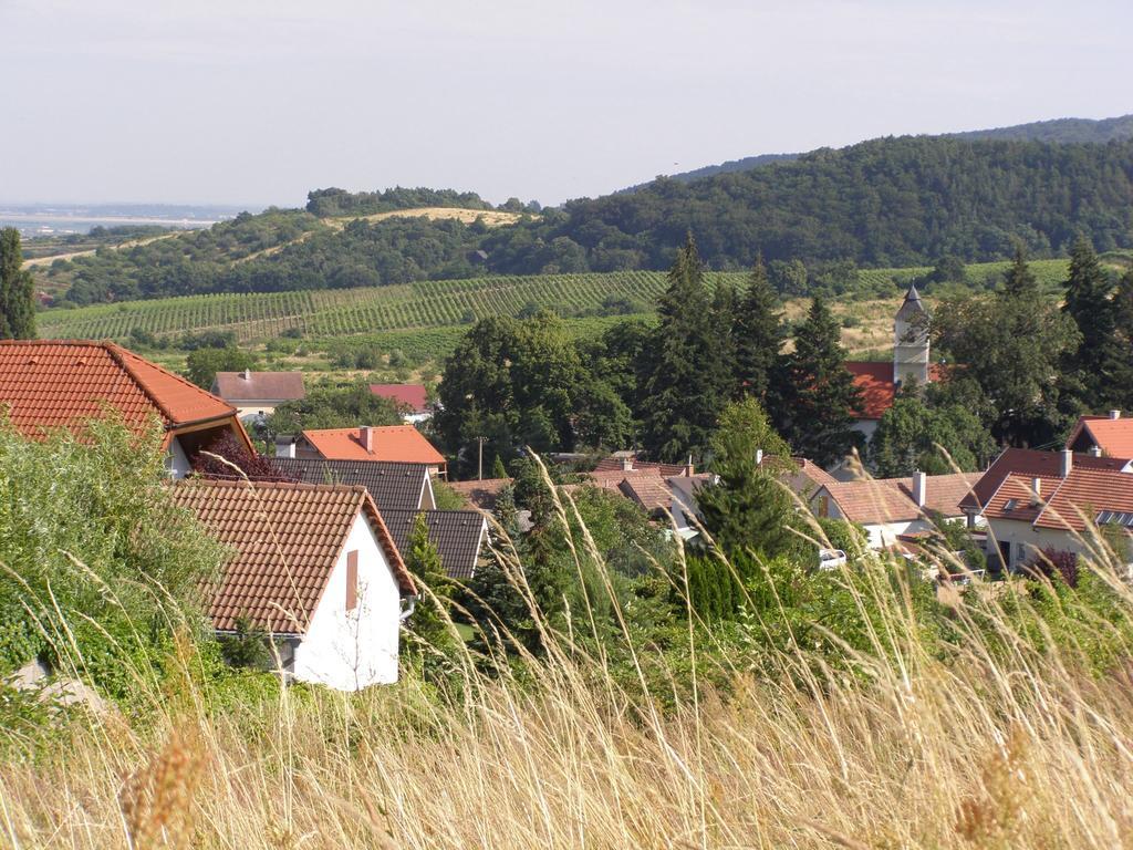 Villa Vinica Limbach Exterior photo
